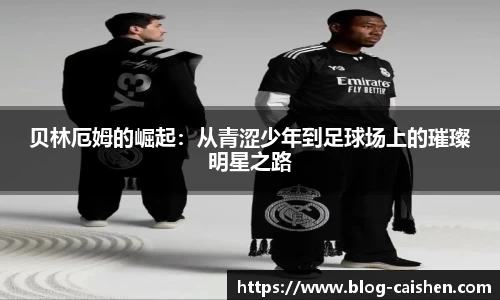 彩神官方网站