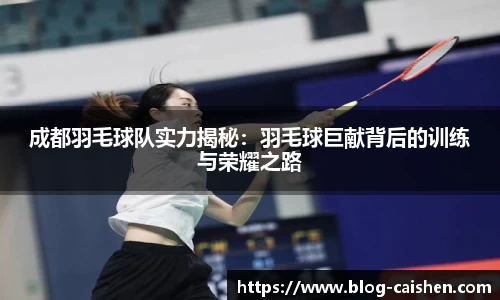 成都羽毛球队实力揭秘：羽毛球巨献背后的训练与荣耀之路